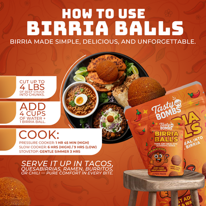 Birria Balls